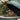 Big Green Egg® Xmas Class
