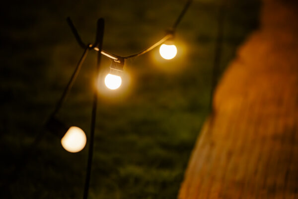 MillingtonHallFarm_WildGrillEvent2024_GemmaParker-236