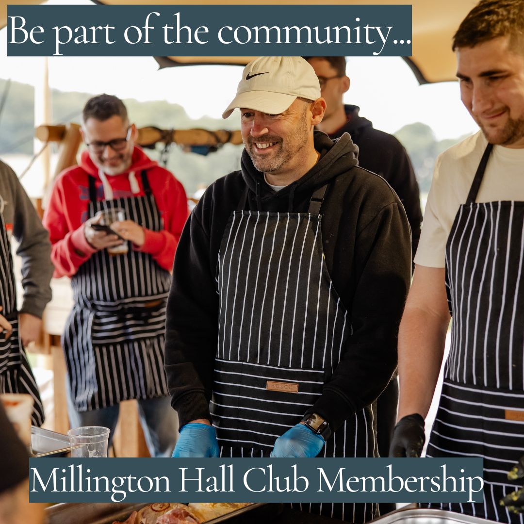 Wild Grill-reviews (9)